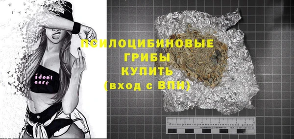 твердый Алзамай