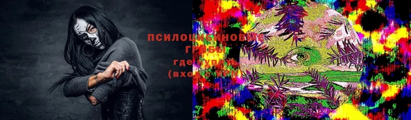 ГАЛЛЮЦИНОГЕННЫЕ ГРИБЫ Алексеевка