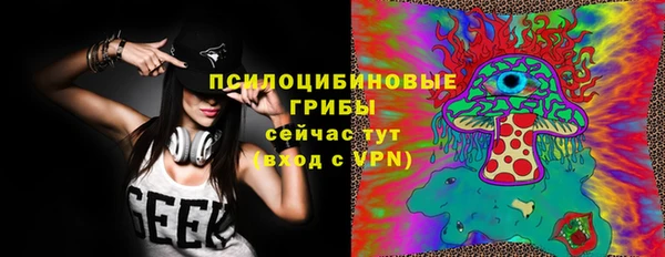 ГАЛЛЮЦИНОГЕННЫЕ ГРИБЫ Алексеевка