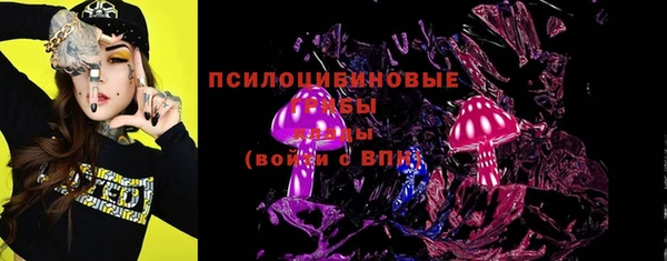 твердый Алзамай