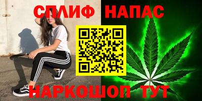 стафф Балаково